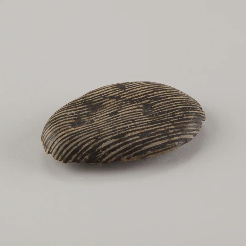 Beloved and Unloved Stones – Deborah Rudolph