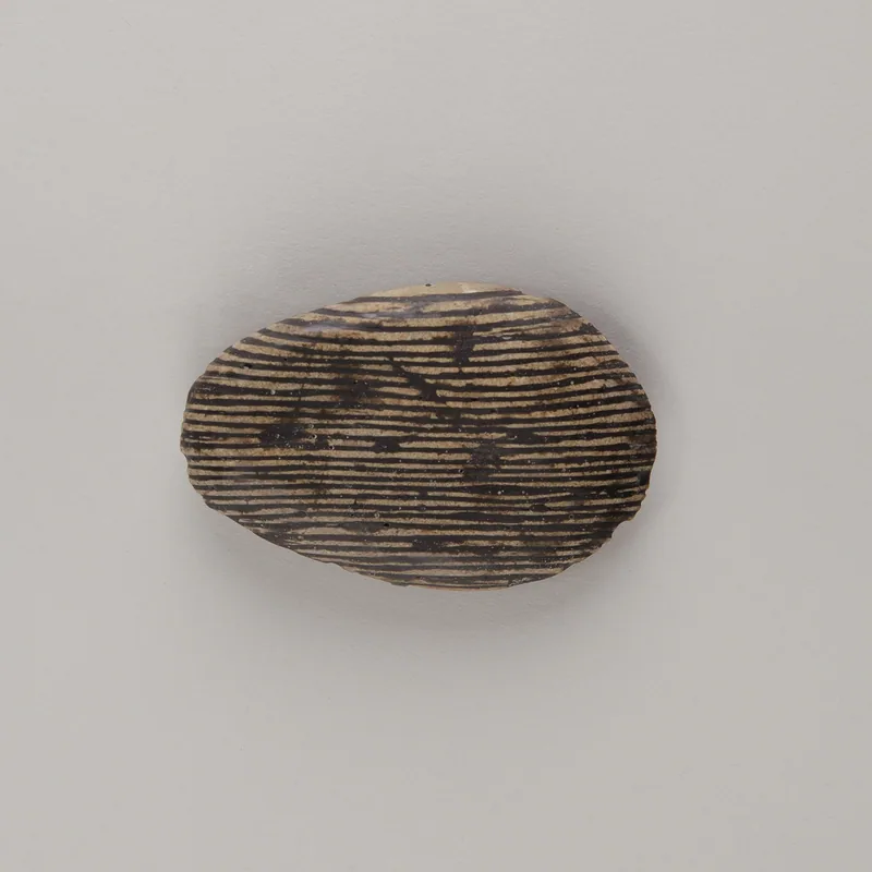 Beloved and Unloved Stones – Deborah Rudolph