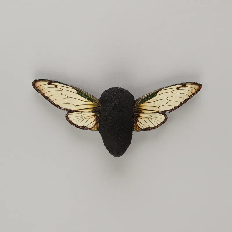 Fossil – Märta Mattsson