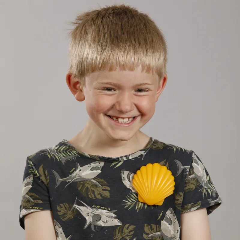 Shell – Philipp Spillmann