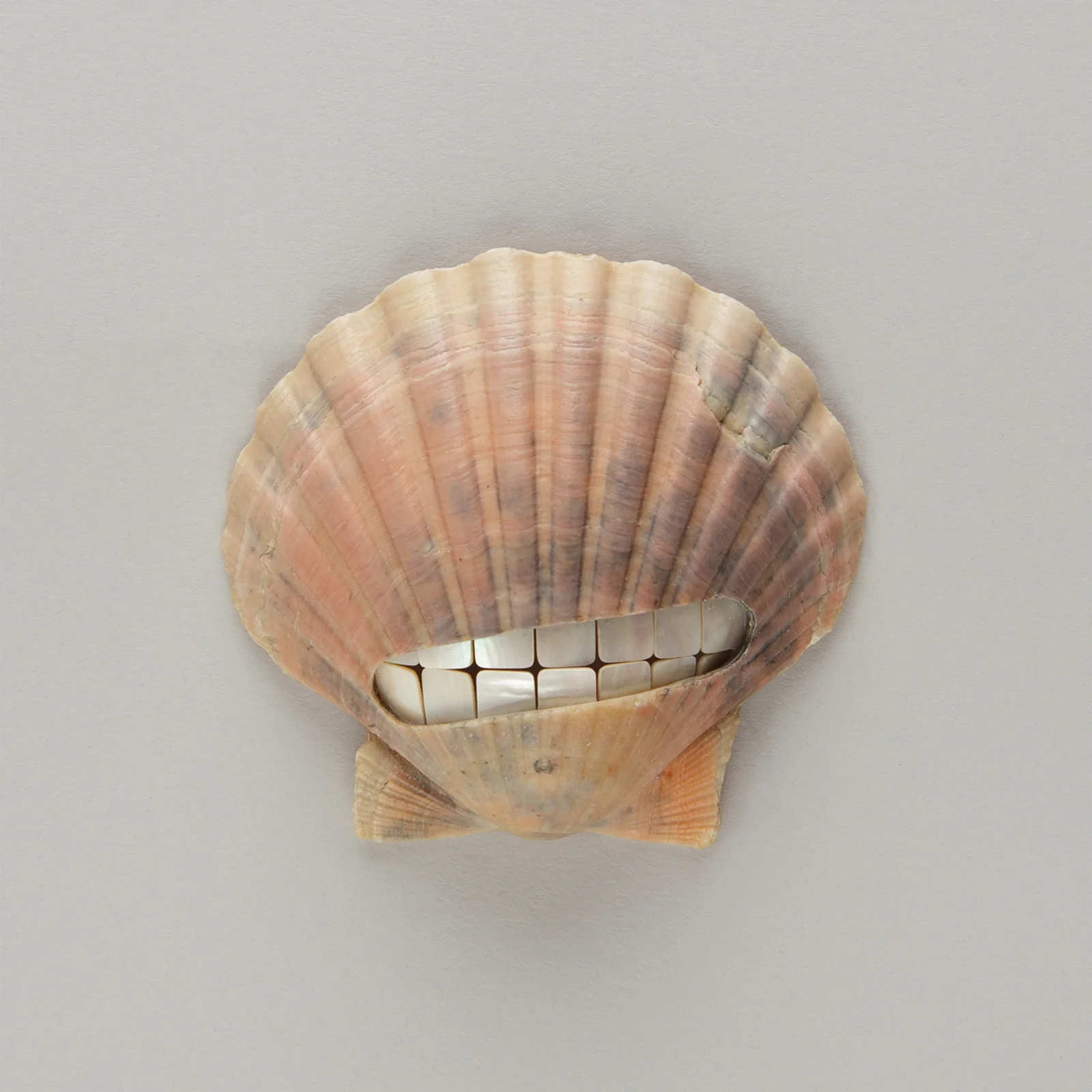Pearly whites — bild 1 av 4