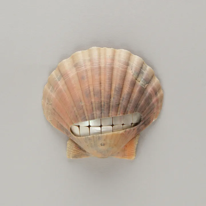 Pearly whites — Benedikt Fischer