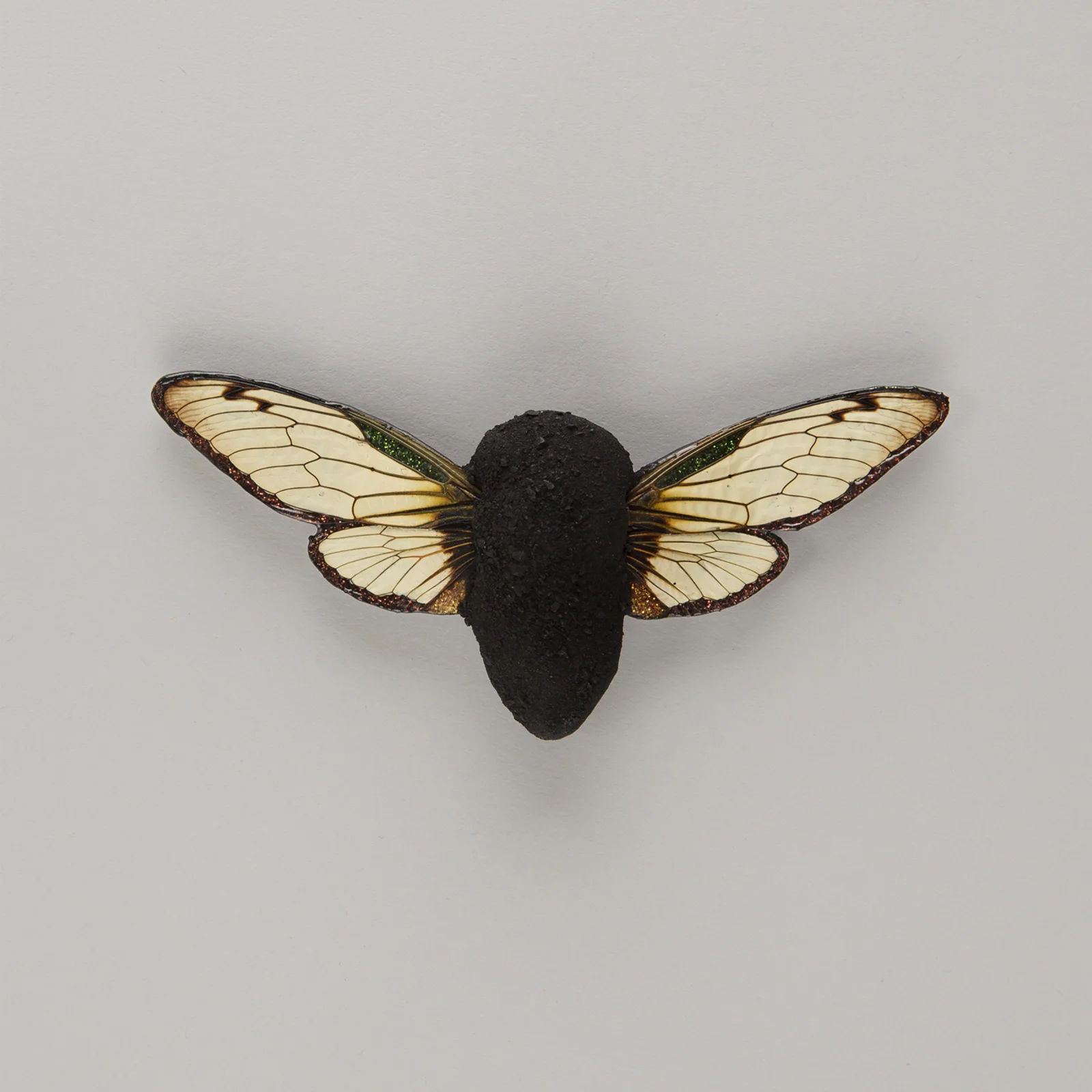 Fossil — bild 1 av 4