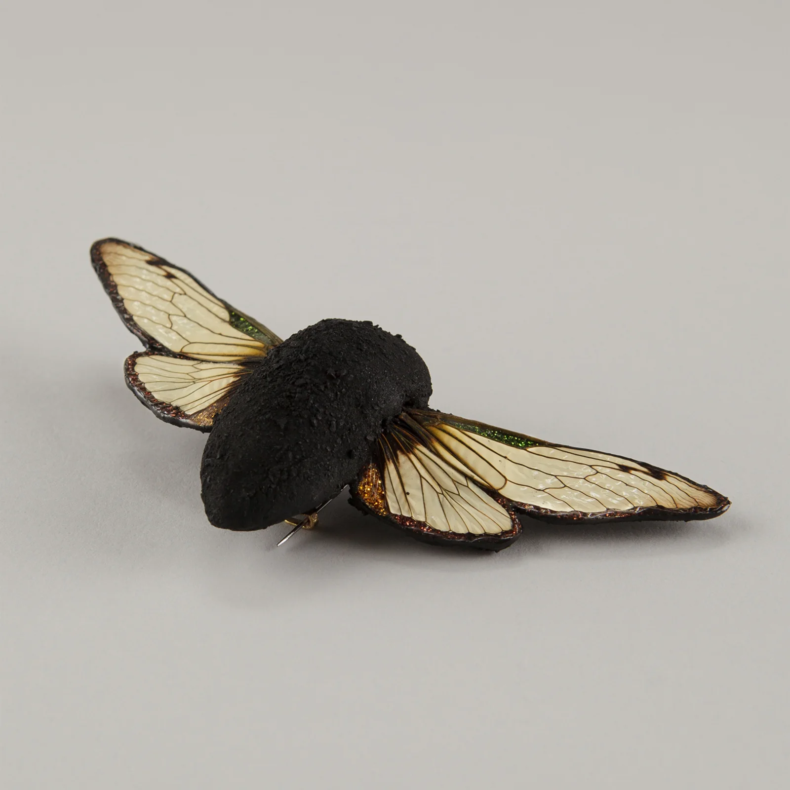 Fossil — bild 2 av 4